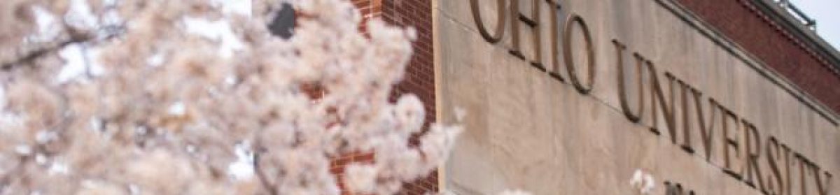 VICTOR SCAVO, AIS Professor